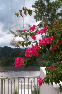 Arecibo RadioTelescope