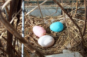 easter-eggs in greenhouse
