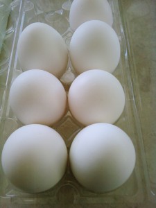 Chicken eggs