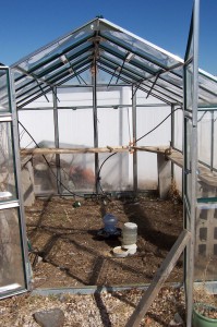 greenhouse-cleanup