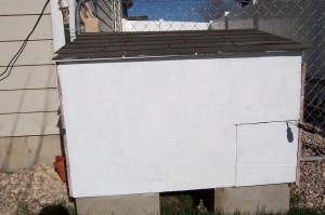 Chicken coop painted white