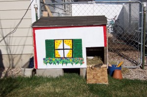 on-step-of-chicken-coop