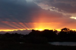 Sun Streaks