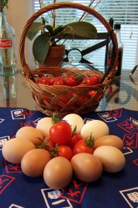 Eggs and Tomatoes