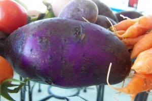 Purple potato