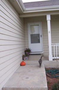 Front Porch with Kitty