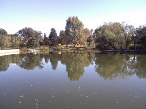 Lake reflection