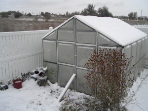 greenhouse snow