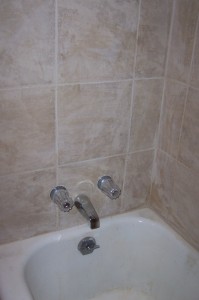 Tub with tile