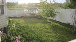 Backyard view
