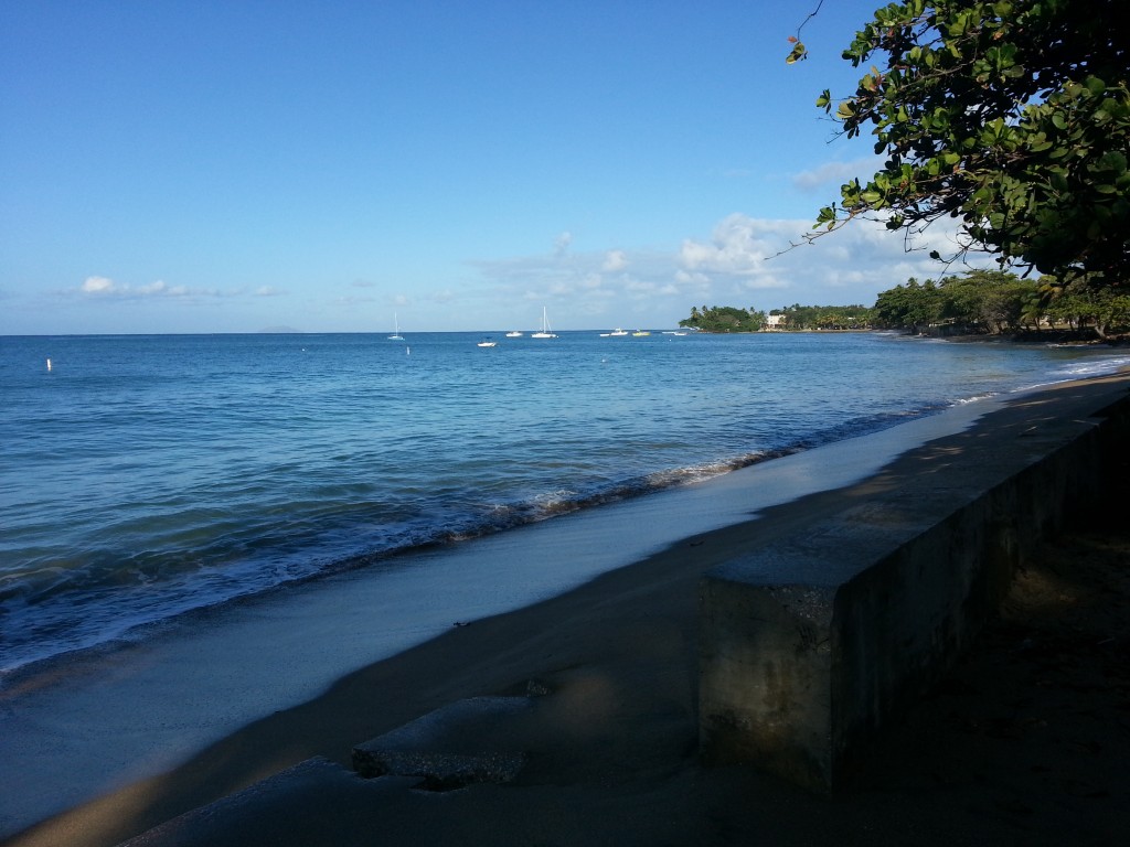 beach_pic