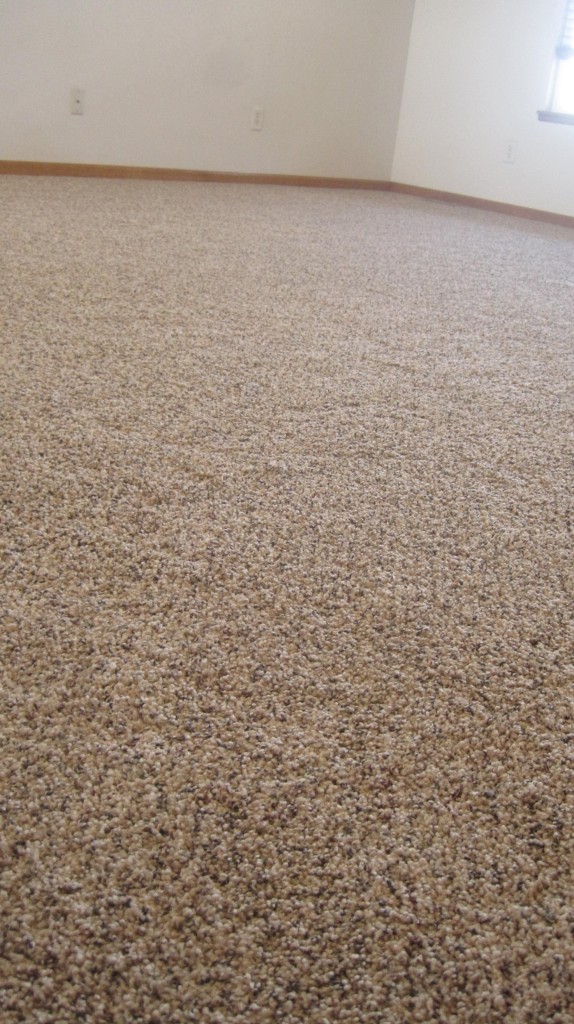 Carpet close up