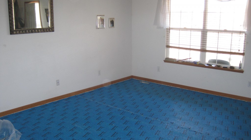 Living room with blue carpet pad