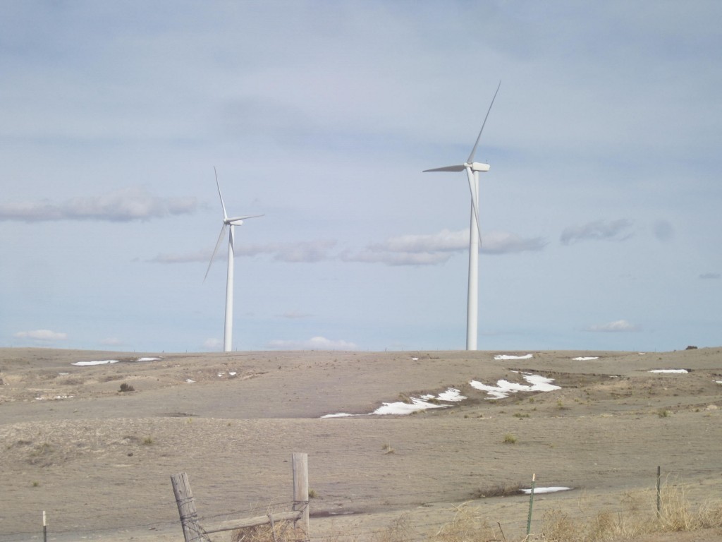 Field of Windmills