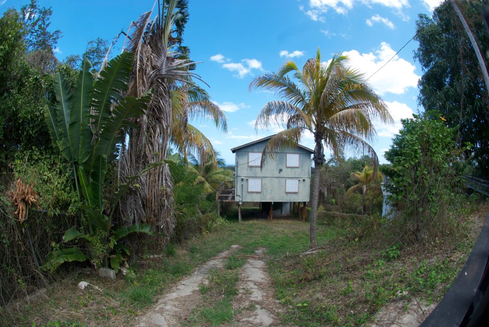 Rincon House Fish Eye