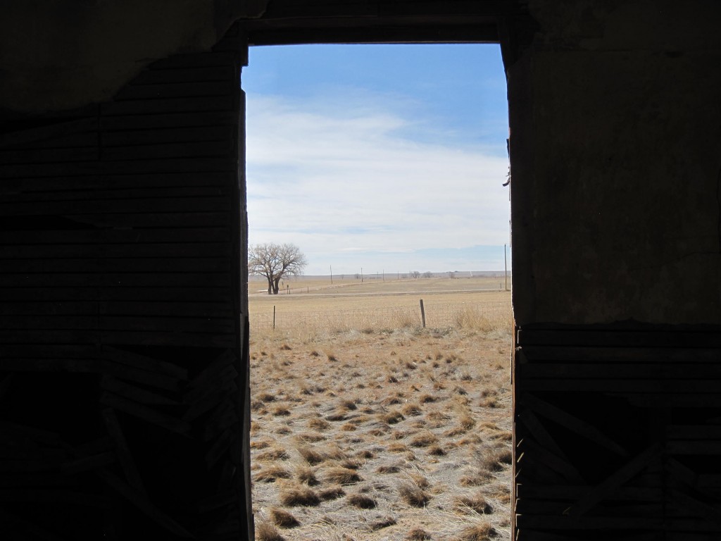 Tree framed in Door Frame