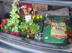 Trunk full of flowers