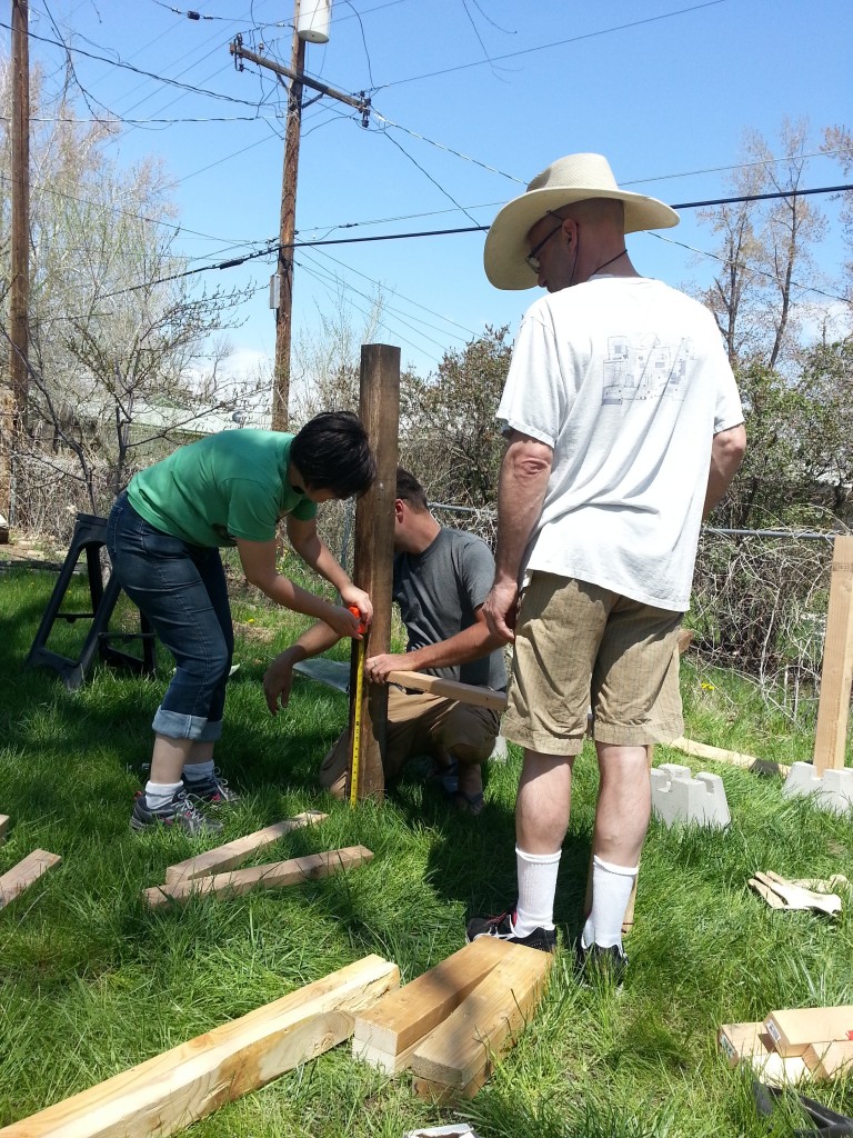 Building a coop