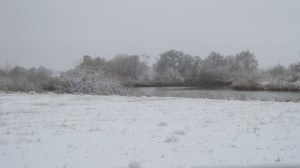 Cold-over-the-lake