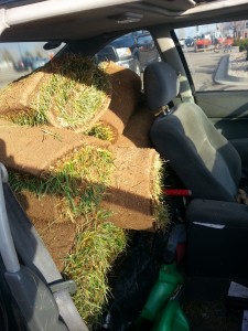 Sod in Honda