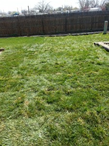 Yard After