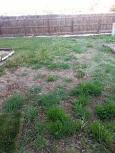 Yard Before