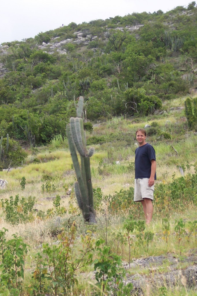 Dryland Forest