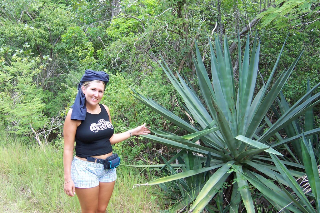 Spiky plant and hat