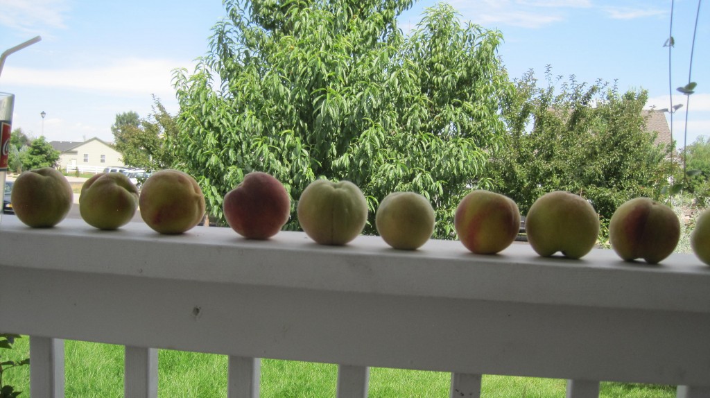 Peach row