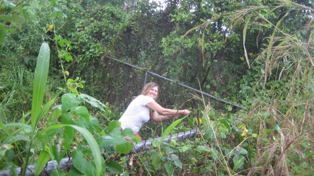 Cassie pulling vines