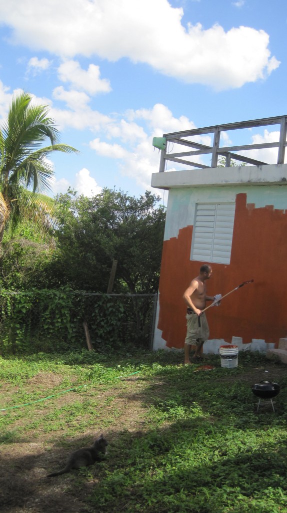 Painting house with Kitty