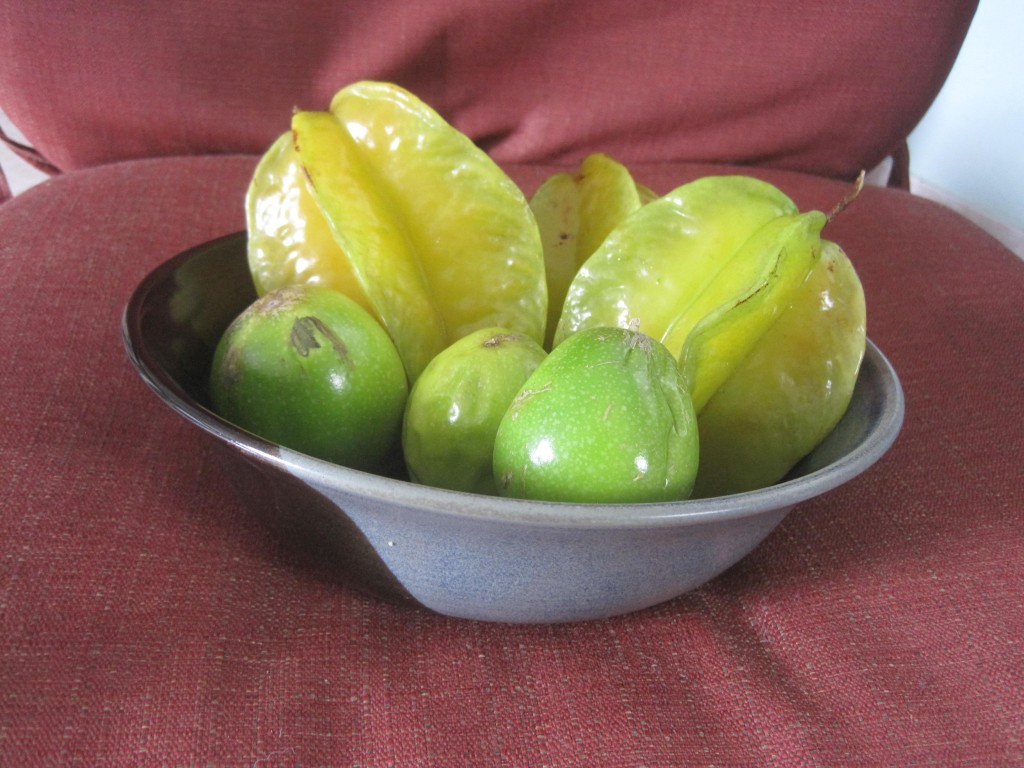 Rincon Pottery Bowl