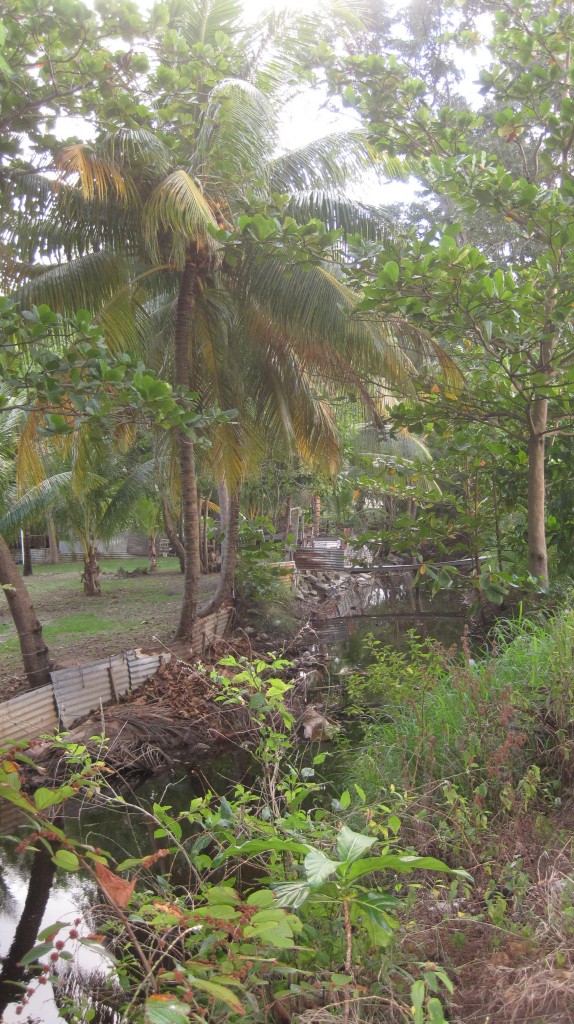 Creek behind beach