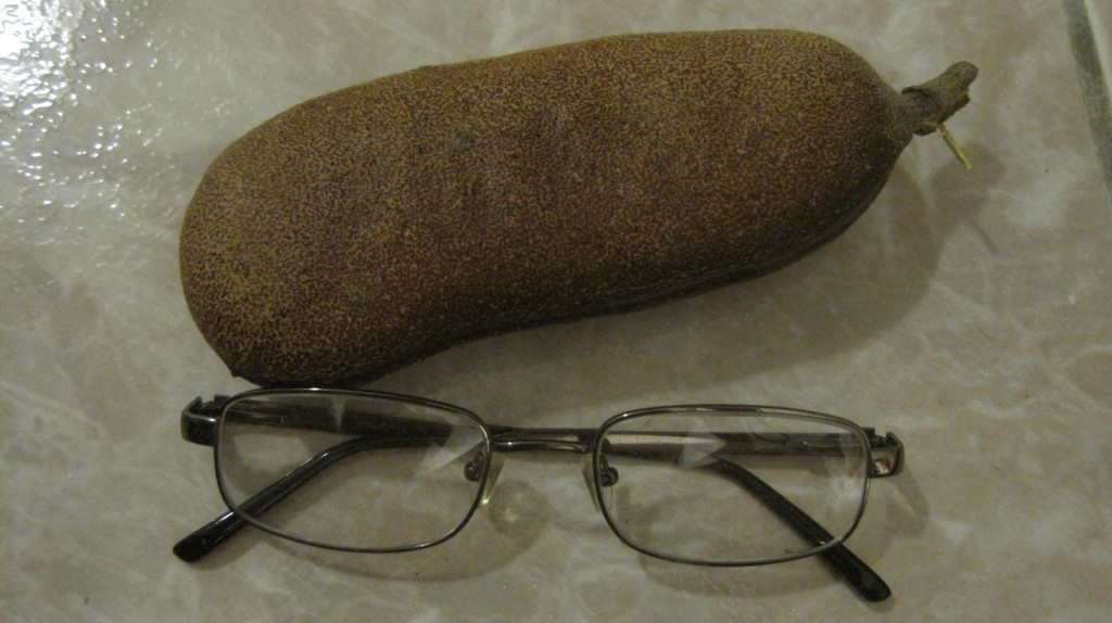 Eyeglass Fruit