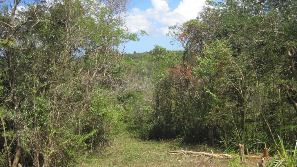 Path to lower area