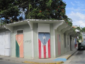 Puerto Rico Flag Door