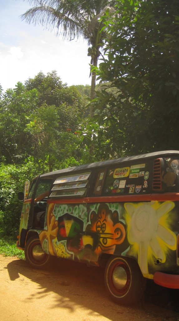 VW Bus in jungle