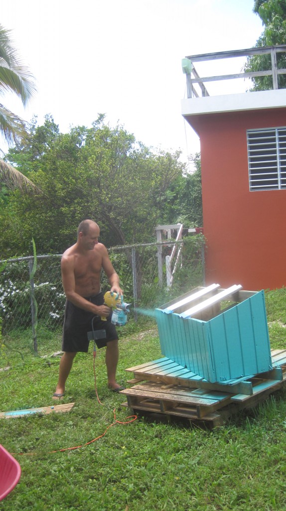 Paint nesting boxes