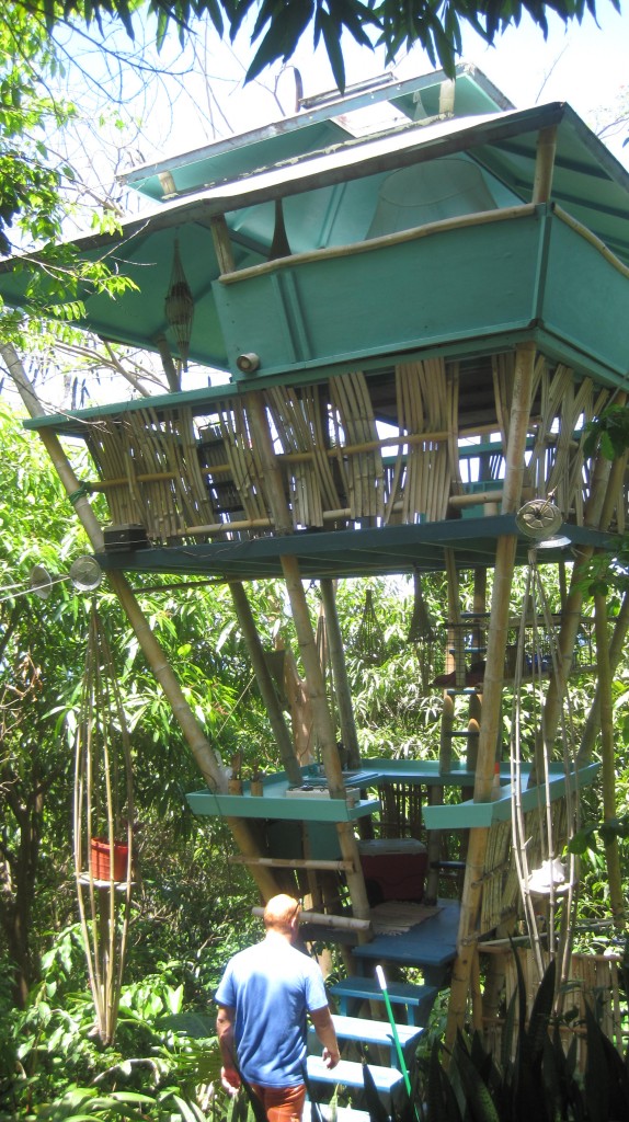 Treehouse (2)