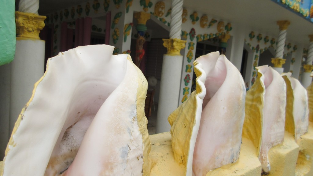 Love Castle Conch shells