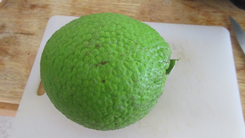 Bredfruit small