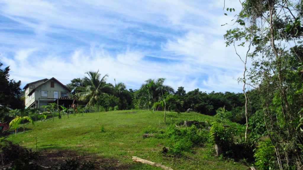 House and yard and sky