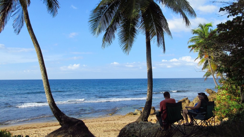 Beach and palms small