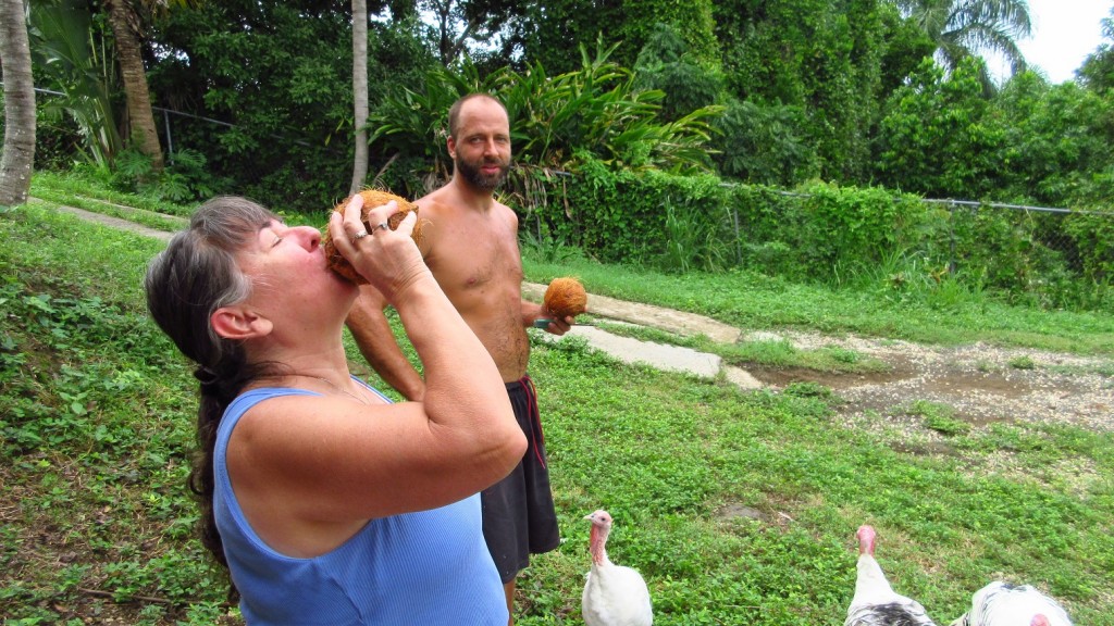 Coconut water small