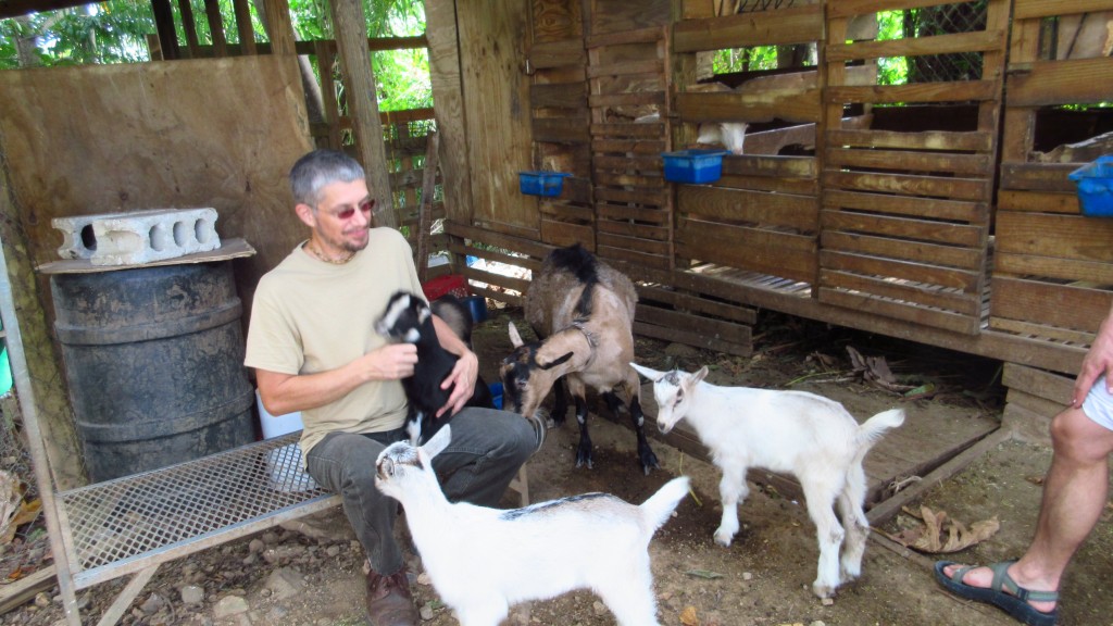 Sadhu and goats