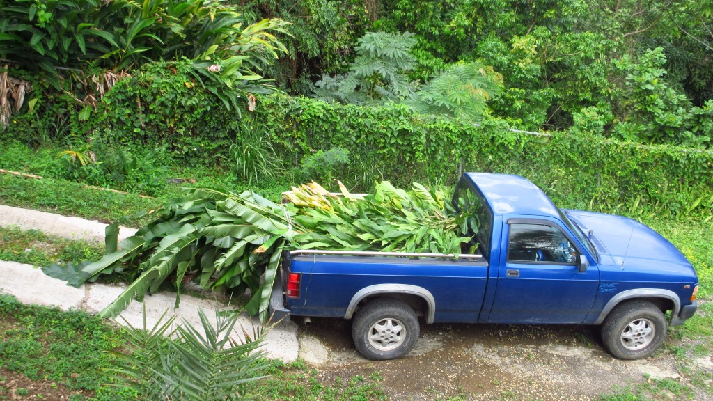 Truck plants