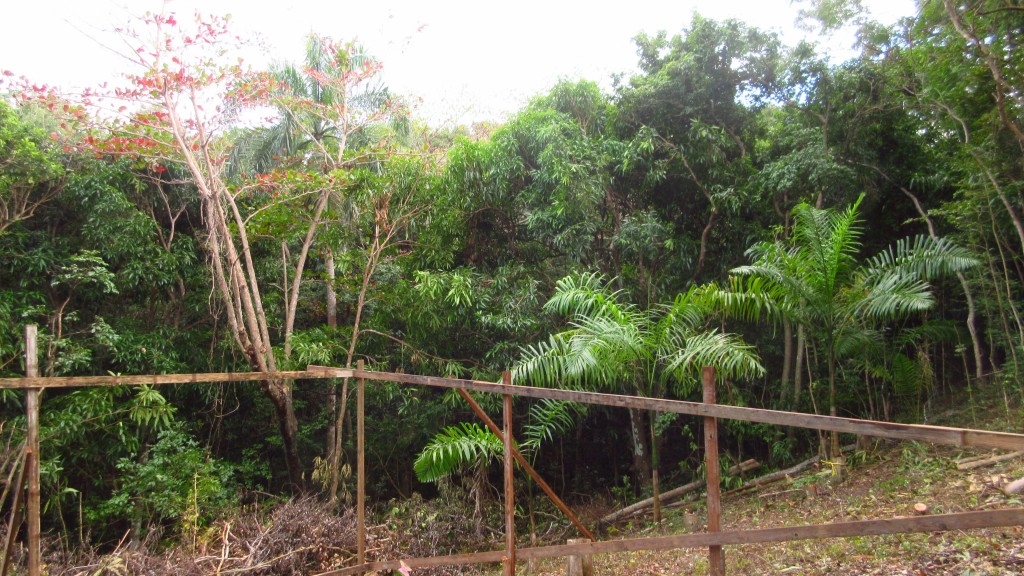 Site with batter boards