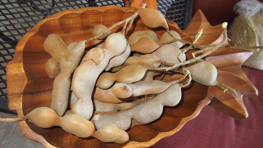 Bowl of tamarind