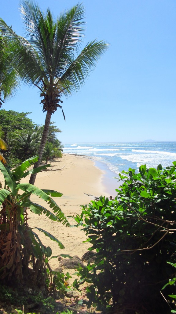 Pools beach from above