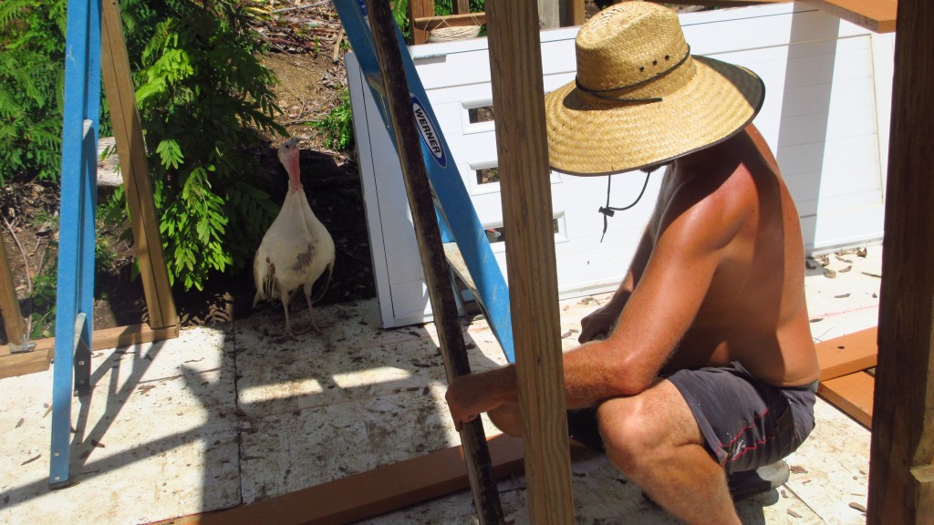 Turkey and Britton working on the cabin